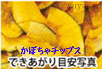 �d�q�����W�Ń|�e�g�`�b�v�X����7