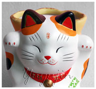 大当たり開運招き猫宝くじ入れ貯金箱小雑貨3